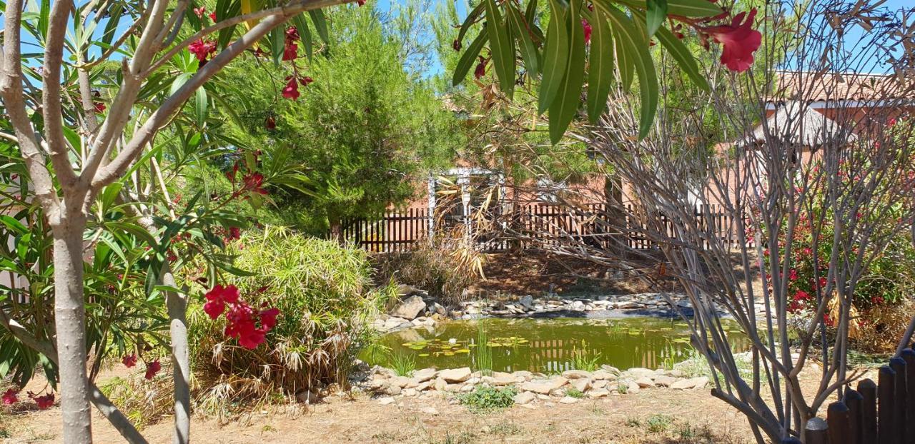 Maison Climatisee Avec Piscine Chauffee Calvisson Kültér fotó